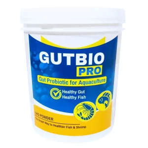 Gut Probiotic for Fish