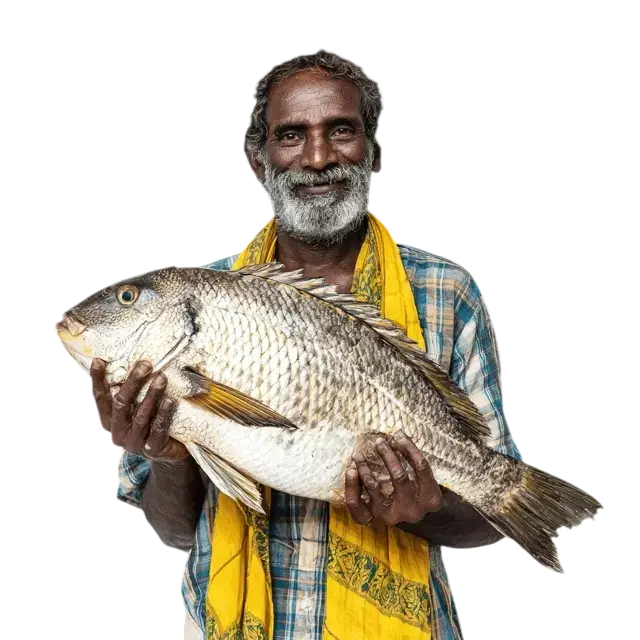 About Fish Kisan