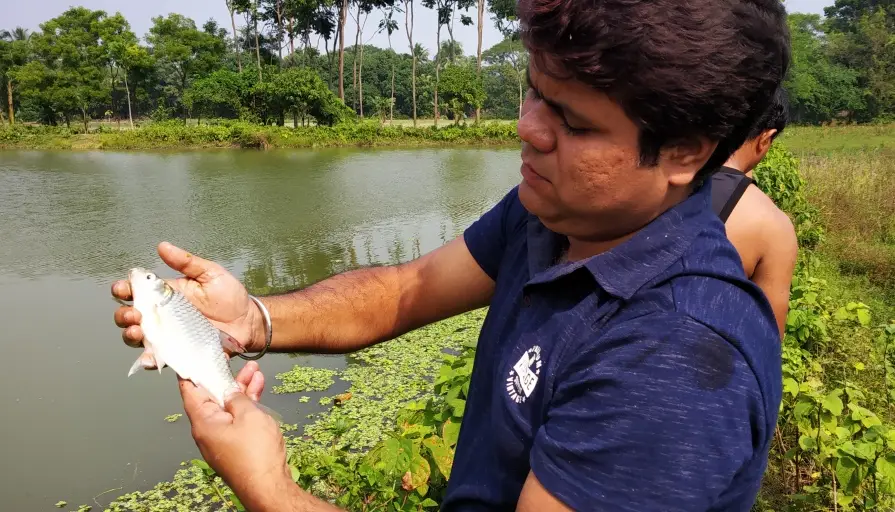 BlueVeta Biolabs Home